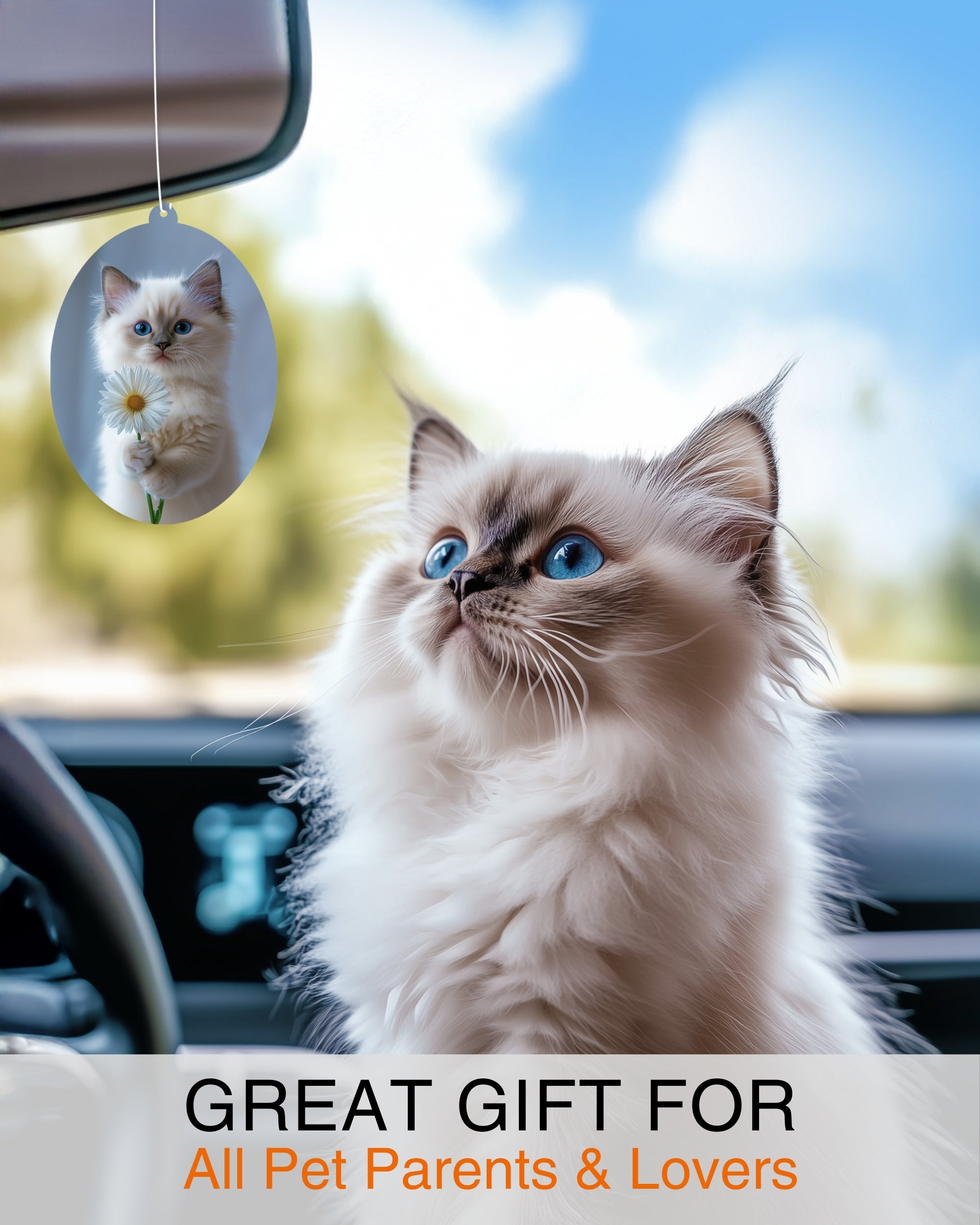Ragdoll Kitten - Cat Car Air Freshener - Cute Hanging Daisy Cat Decor Black Ice Scent, Infusible with Your Own Scent, Pet Safe, Non-Toxic, Freshener for Car, Closet, Office Size - 3x4"