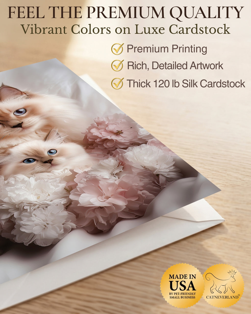 Ragdoll Cat and Kitten Greeting Card from Sweet Mother’s Day or Friendship Card for Cat Lovers – 5x7 Premium Blank Card with Envelope – Made in USA