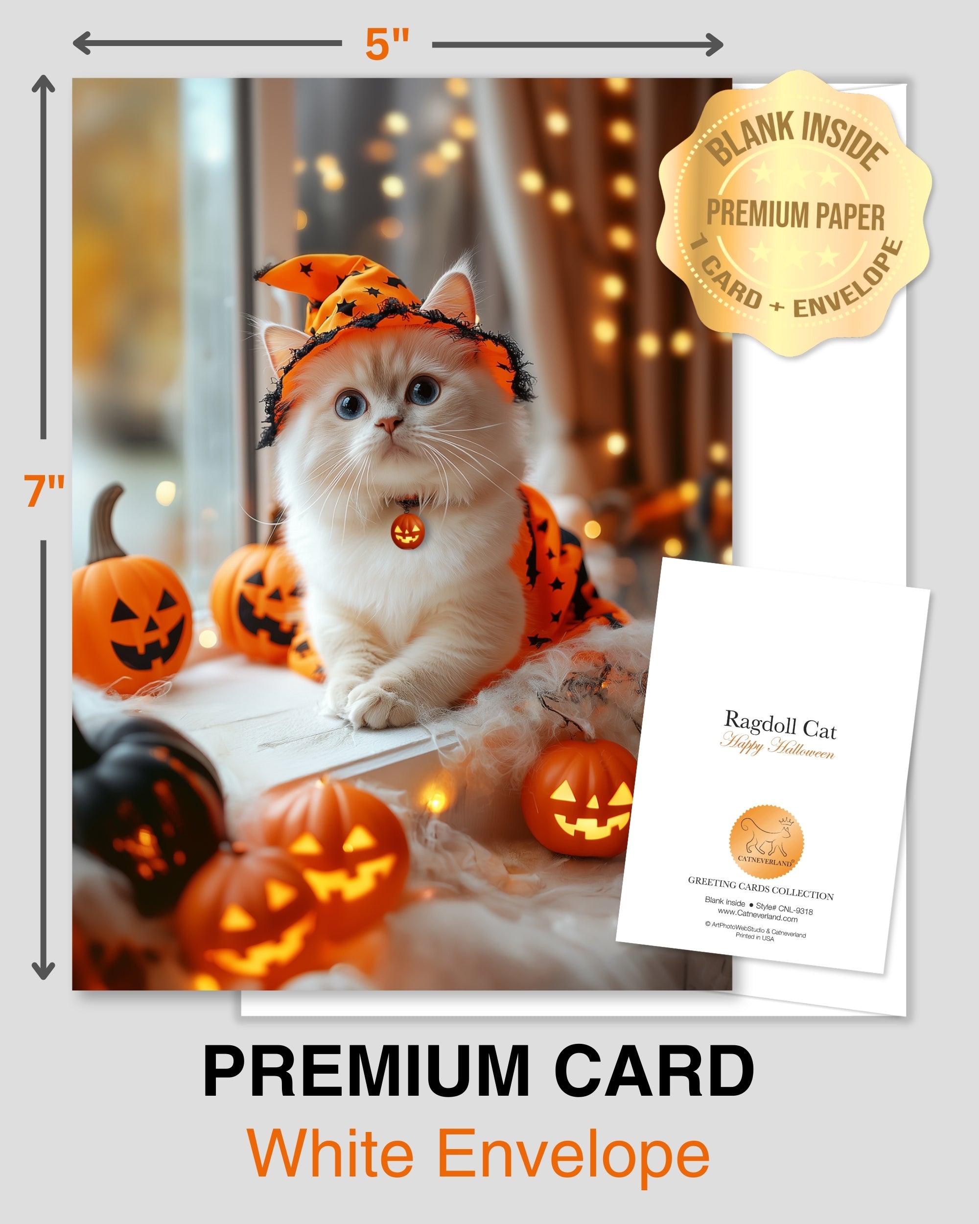 Ragdoll Kitten Happy Halloween Greeting Card – Cute Cat in Costume with Pumpkins – Premium 5x7 Card with White Envelope – Pet Lovers Holiday Card – Made in USA