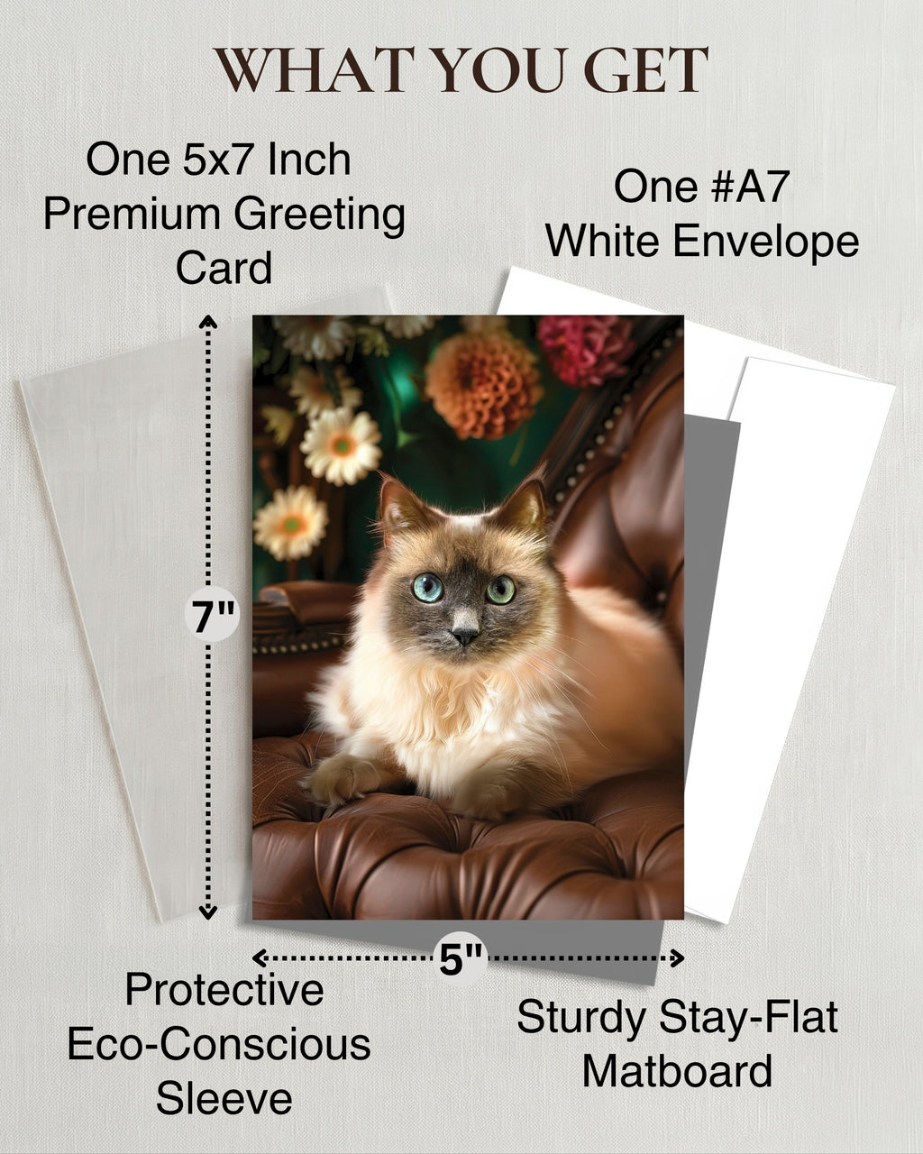 Monya The Cat Any Occasion Greeting Card - 5x7 Inch from Cats with Flowers Collection, Premium Cardstock, Blank Inside, White Envelope, Great Gift for Cat Lovers
