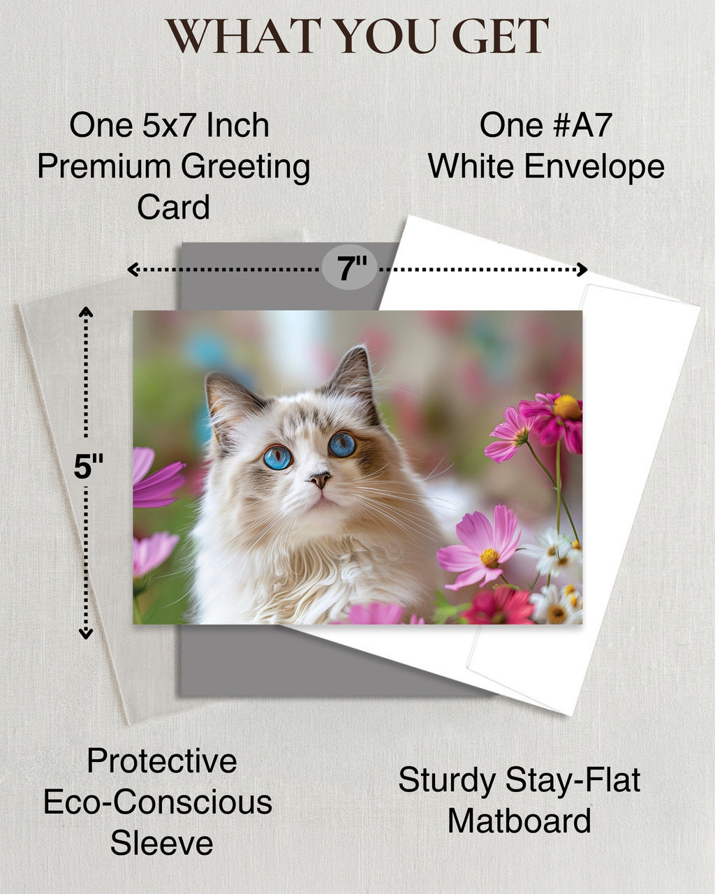 Ragdoll Cat Greeting Card 5x7 Inch Any Occasion from Cats with Flowers Collection Premium Cardstock Blank Inside White Envelope Great Gift for Cat Lovers