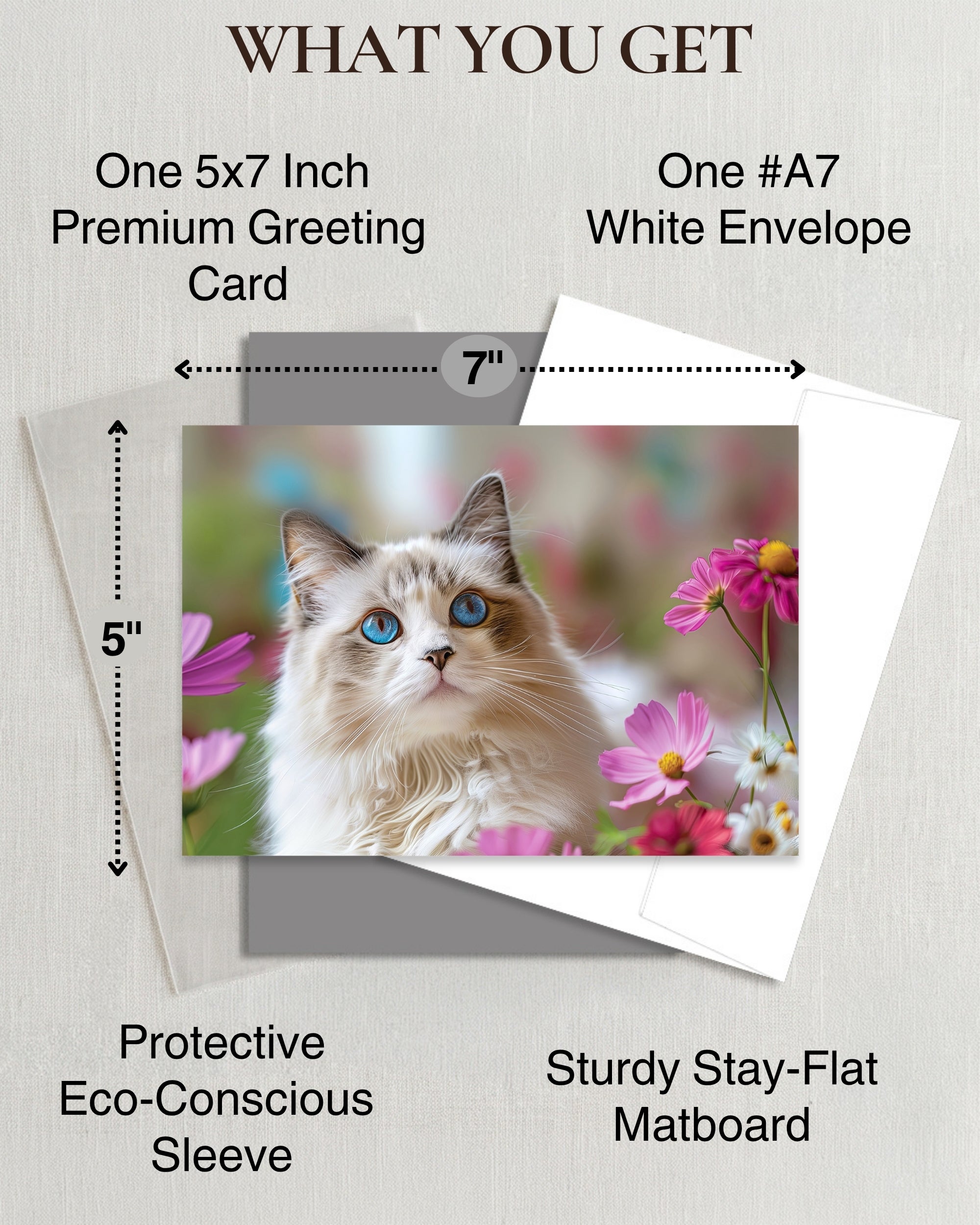 Ragdoll Cat Greeting Card 5x7 Inch Any Occasion from Cats with Flowers Collection Premium Cardstock Blank Inside White Envelope Great Gift for Cat Lovers