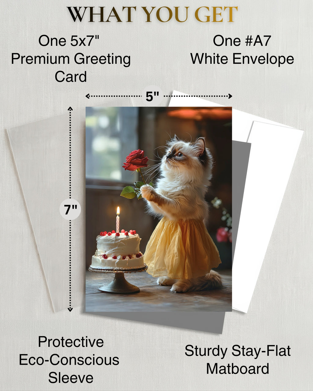 Happy Birthday Ragdoll Kitten Greeting Card Cute Cat in Dress with Cake and Rose – Blank Inside 5x7 Premium Card with Envelope – Made in USA by Pet-Friendly Business