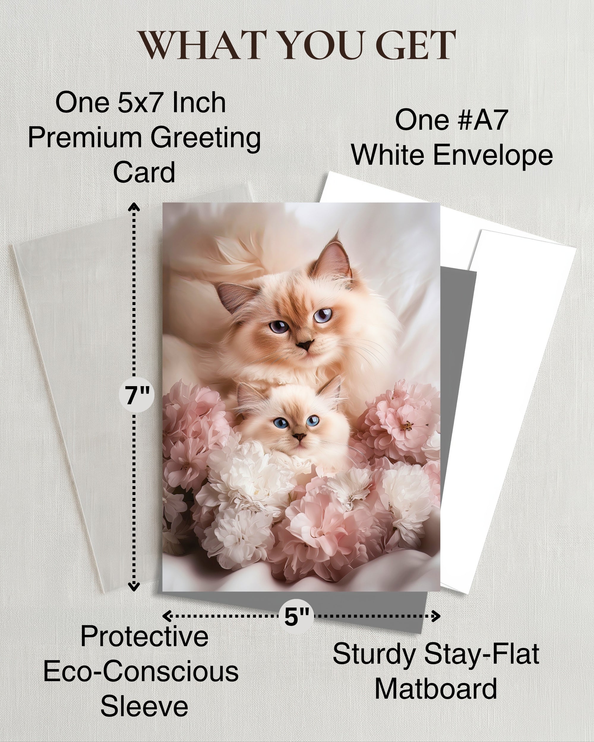 Ragdoll Cat and Kitten Greeting Card from Sweet Mother’s Day or Friendship Card for Cat Lovers – 5x7 Premium Blank Card with Envelope – Made in USA