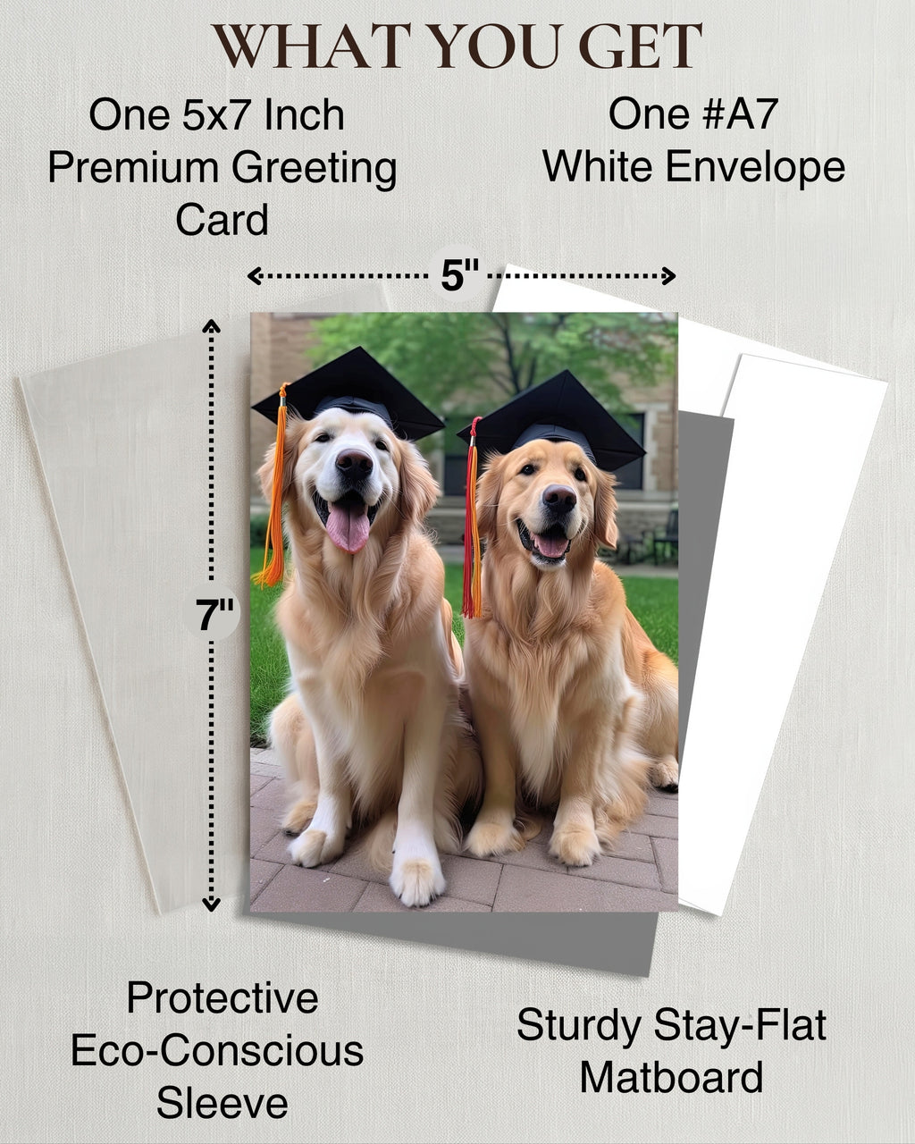 Golden Retrievers Graduation Greeting Card from Unique Pets Party Delights Collection Large 5x7 Inch Blank Inside with Envelope made in USA