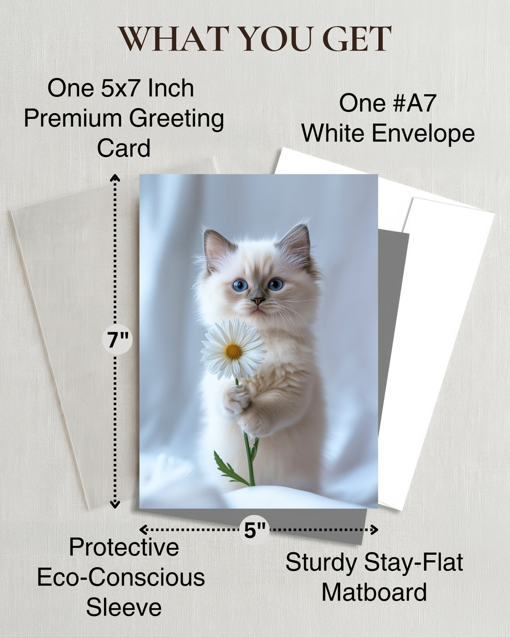 Ragdoll Kitten with Daisy Greeting Card Cute Blue-Eyed Cat Blank Card for Pet Lovers, Premium 5x7 Stationery with Envelope – Made in USA by Pet-Friendly Business