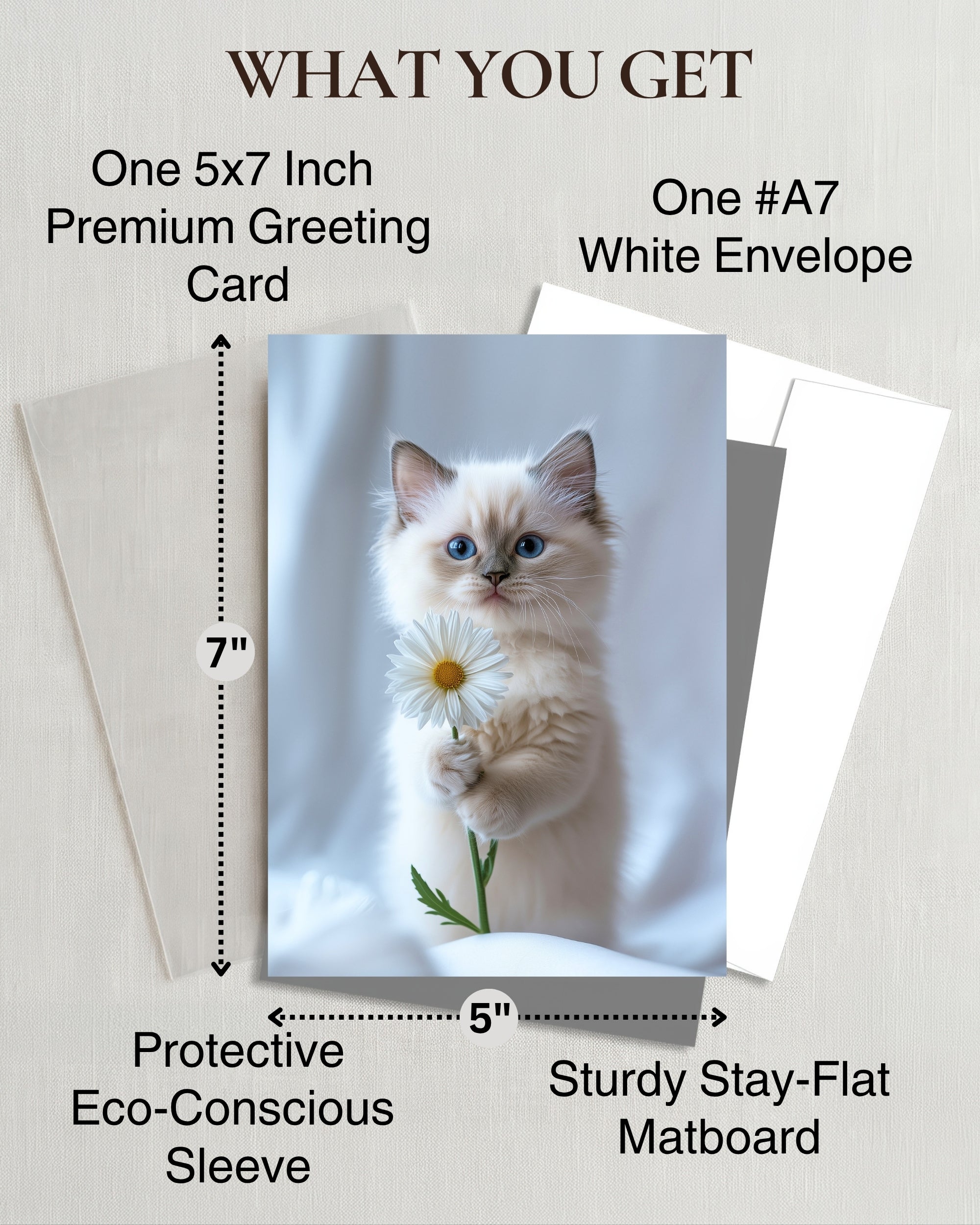 Ragdoll Kitten with Daisy Greeting Card Cute Blue-Eyed Cat Blank Card for Pet Lovers, Premium 5x7 Stationery with Envelope – Made in USA by Pet-Friendly Business