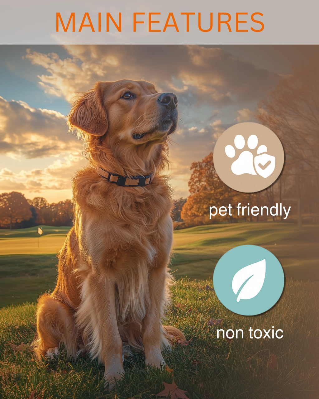 Golden Retriever - Dog Car Air Freshener - Cute Hanging Dog with Flowers Decor New Car Scent, Infusible with Your Own Scent, Pet Safe, Non-Toxic, Freshener for Car, Closet, Office Size - 3x4"