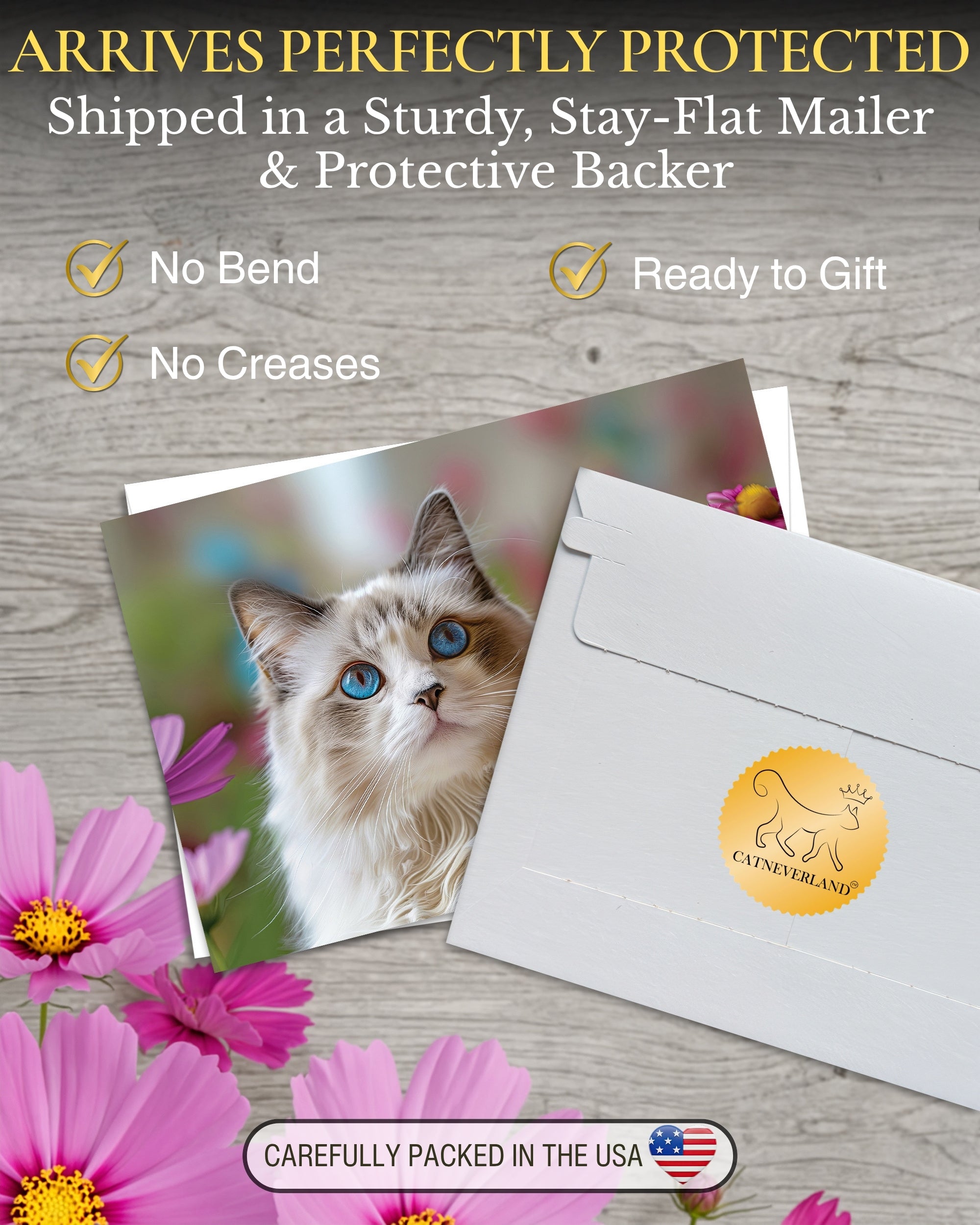 Ragdoll Cat Greeting Card 5x7 Inch Any Occasion from Cats with Flowers Collection Premium Cardstock Blank Inside White Envelope Great Gift for Cat Lovers