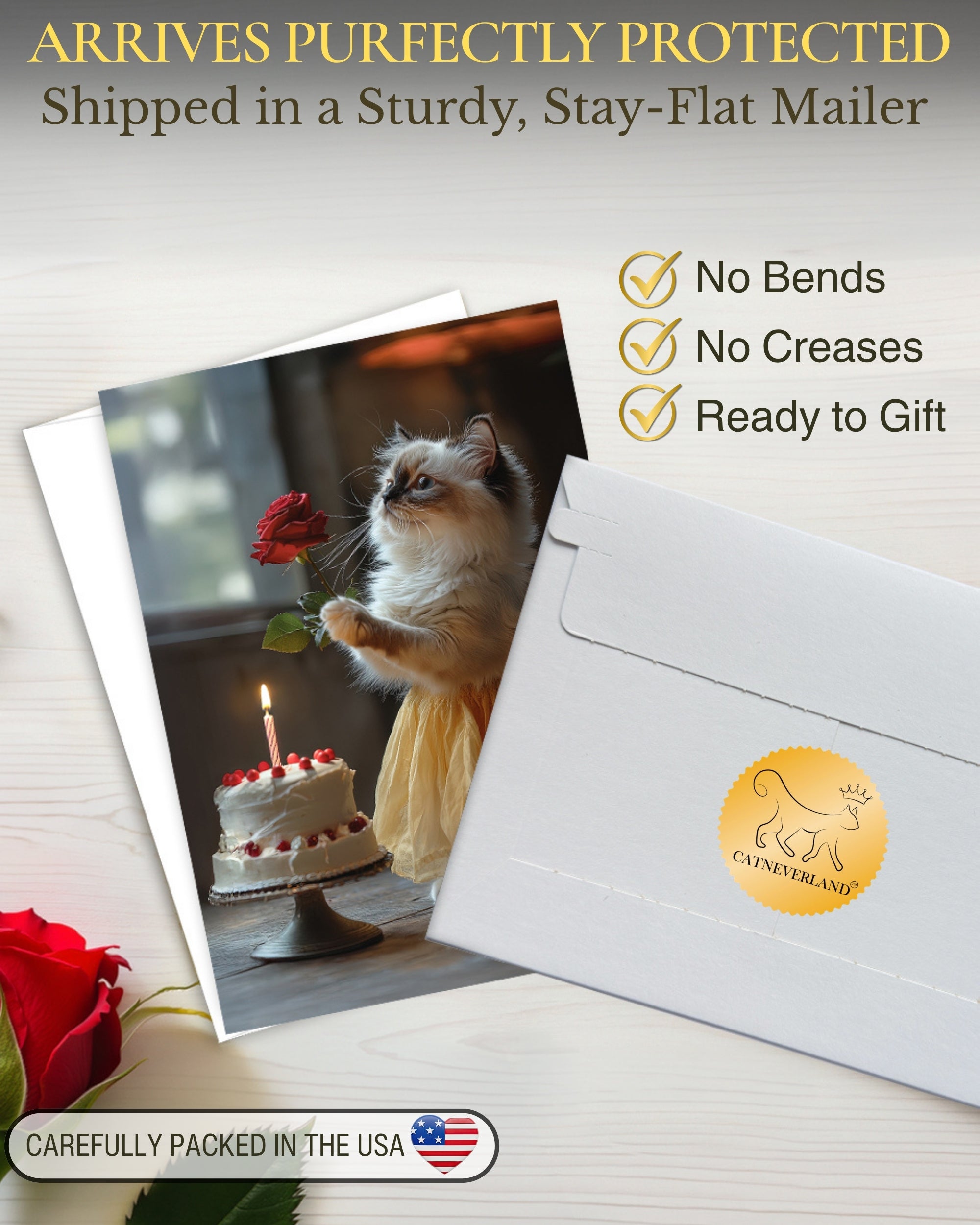 Happy Birthday Ragdoll Kitten Greeting Card Cute Cat in Dress with Cake and Rose – Blank Inside 5x7 Premium Card with Envelope – Made in USA by Pet-Friendly Business