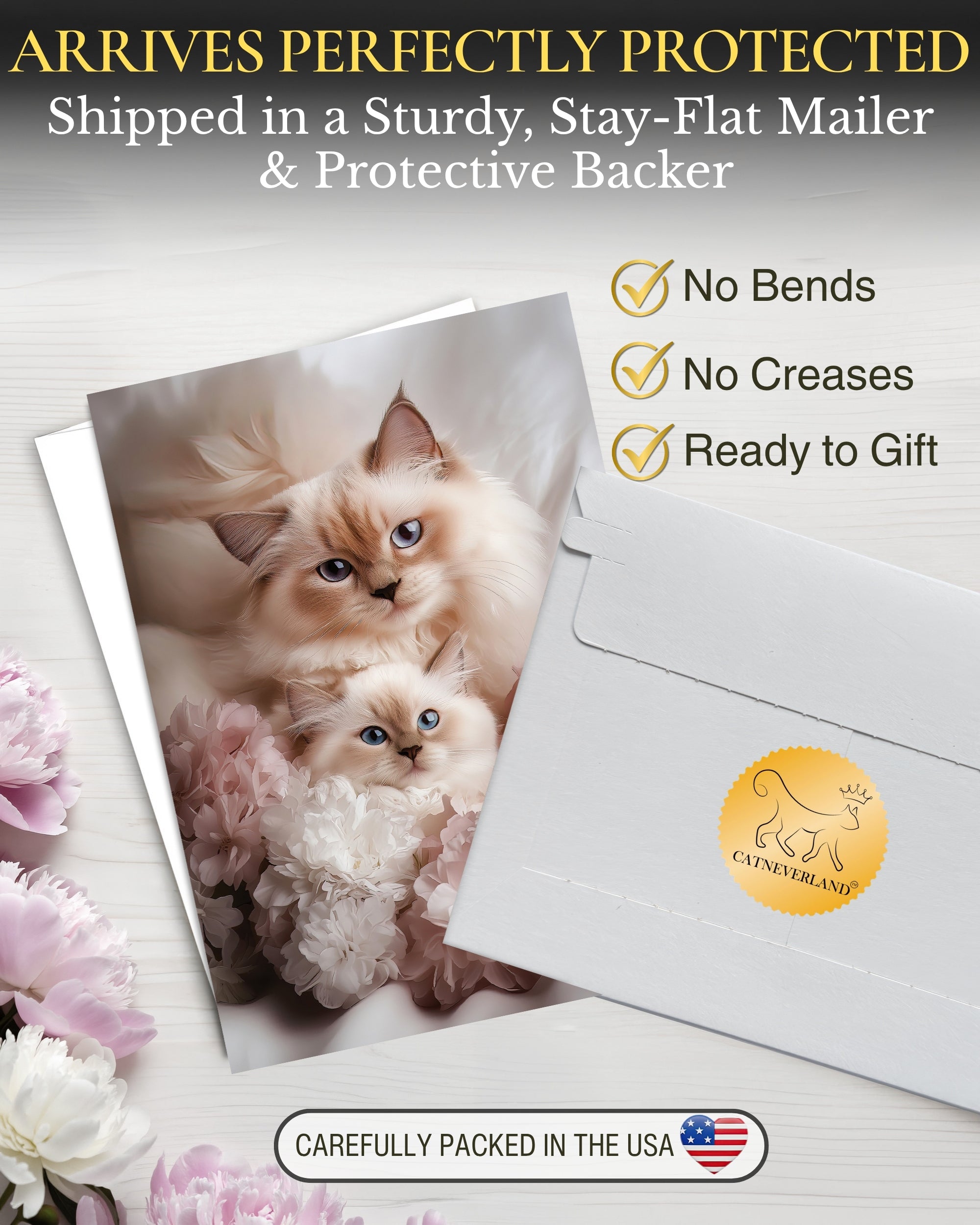 Ragdoll Cat and Kitten Greeting Card from Sweet Mother’s Day or Friendship Card for Cat Lovers – 5x7 Premium Blank Card with Envelope – Made in USA