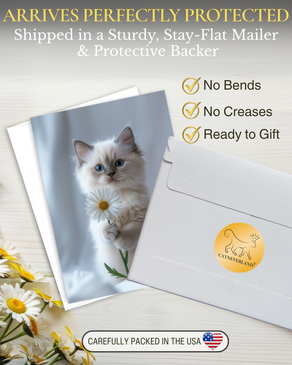 Ragdoll Kitten with Daisy Greeting Card Cute Blue-Eyed Cat Blank Card for Pet Lovers, Premium 5x7 Stationery with Envelope – Made in USA by Pet-Friendly Business