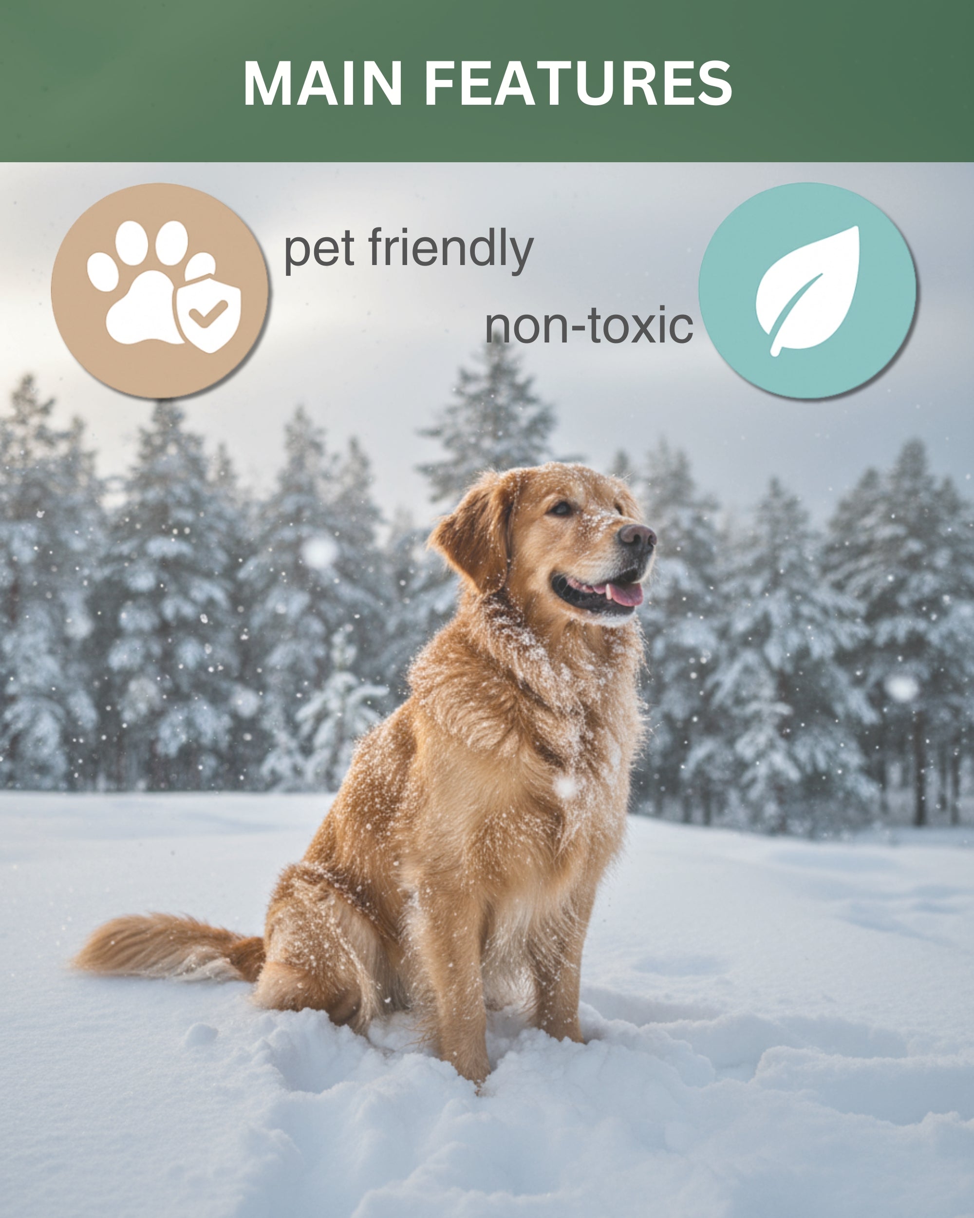 Santa with Golden Retriever Air Freshener – Evergreen Scent - Cute Dog Car Freshener & Holiday Decoration - Pet Friendly, Non-Toxic, Long-Lasting Scent - Great Gift for Pet Lovers - Designed in USA