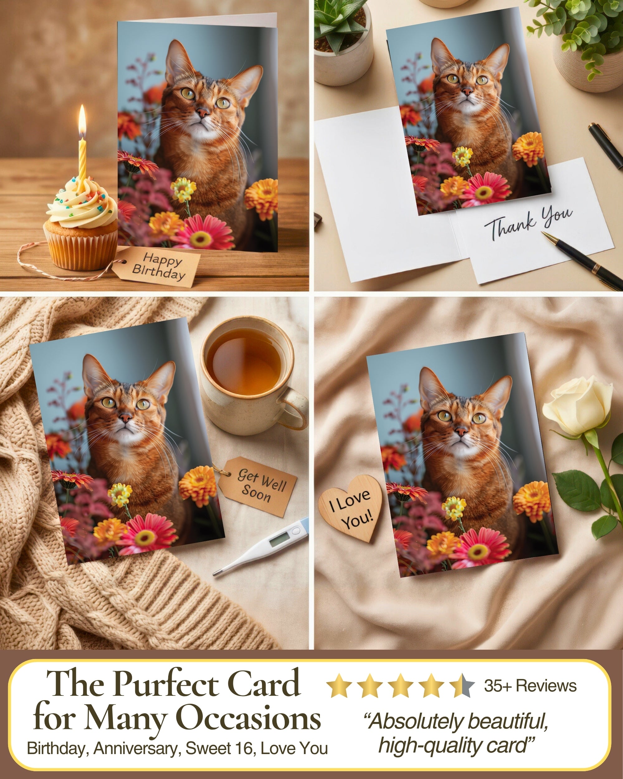 Abyssinian Cat Greeting Card 5x7 Inch, Any Occasion from Cats with Flowers Collection Premium Cardstock Blank Inside White Envelope Included Great Gift for Cat Lovers