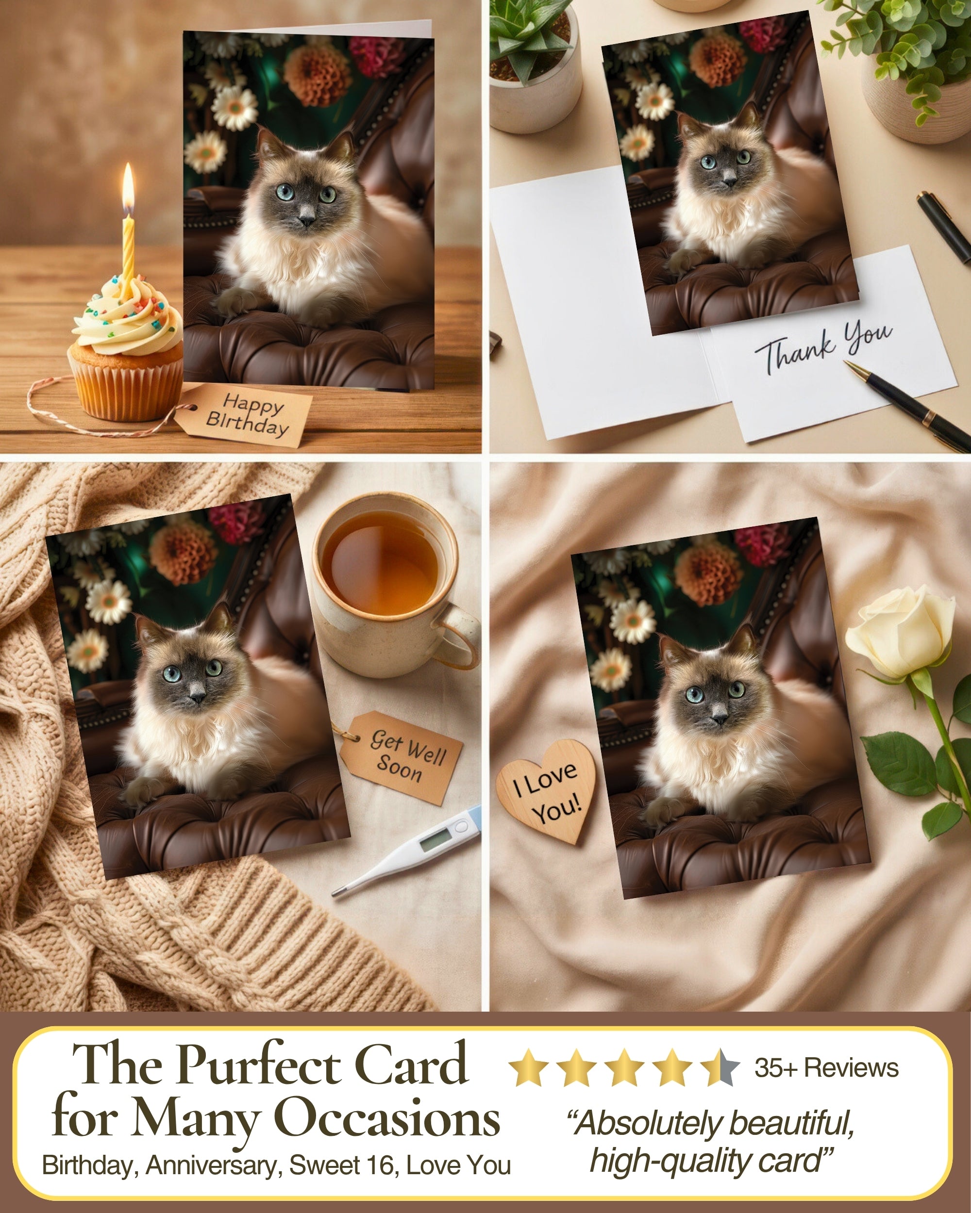 Monya The Cat Any Occasion Greeting Card - 5x7 Inch from Cats with Flowers Collection, Premium Cardstock, Blank Inside, White Envelope, Great Gift for Cat Lovers