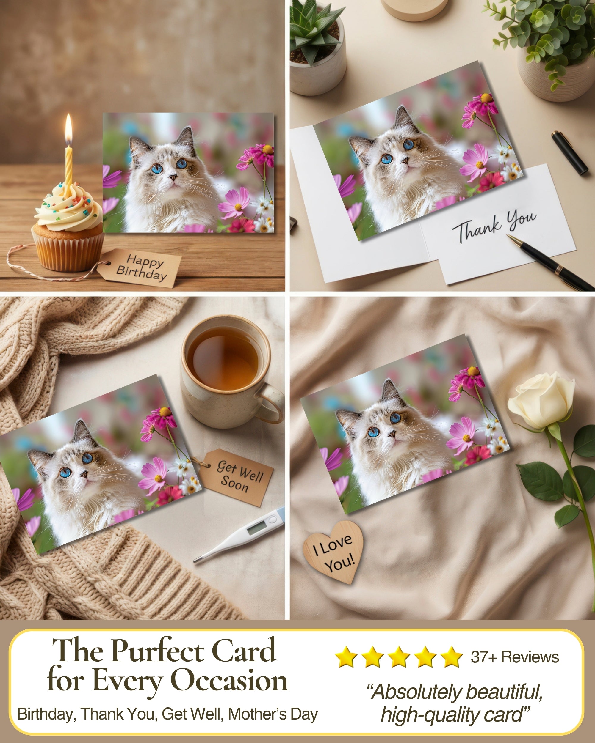 Ragdoll Cat Greeting Card 5x7 Inch Any Occasion from Cats with Flowers Collection Premium Cardstock Blank Inside White Envelope Great Gift for Cat Lovers