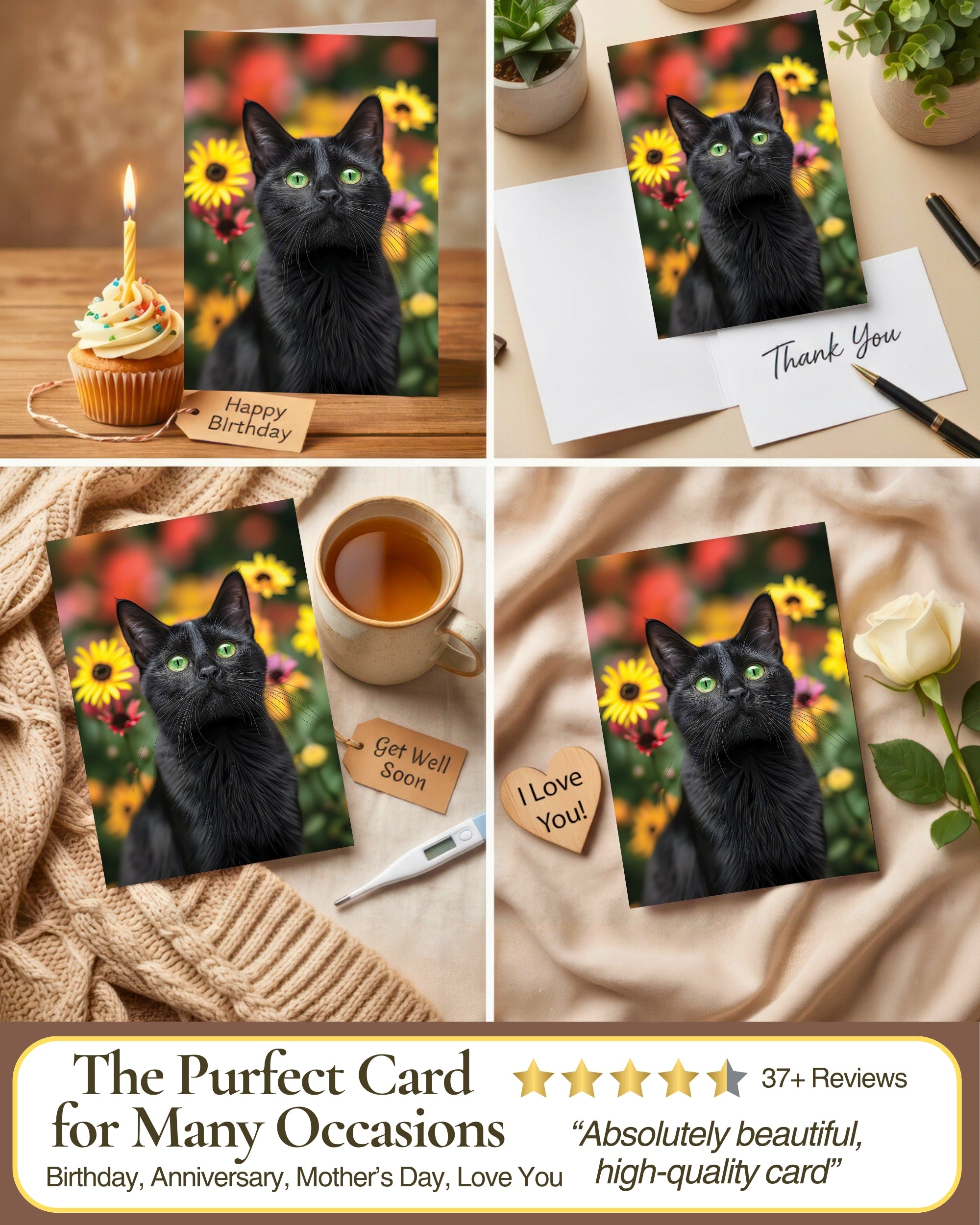 Bombay Cat Greeting Card 5x7 Inch Any Occasion from Cats with Flowers Collection Premium Cardstock Blank Inside White Envelope Included Great Gift for Cat Lovers