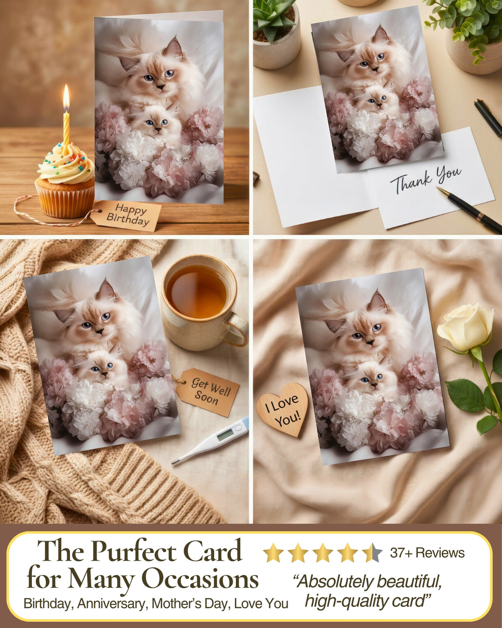 Ragdoll Cat and Kitten Greeting Card from Sweet Mother’s Day or Friendship Card for Cat Lovers – 5x7 Premium Blank Card with Envelope – Made in USA