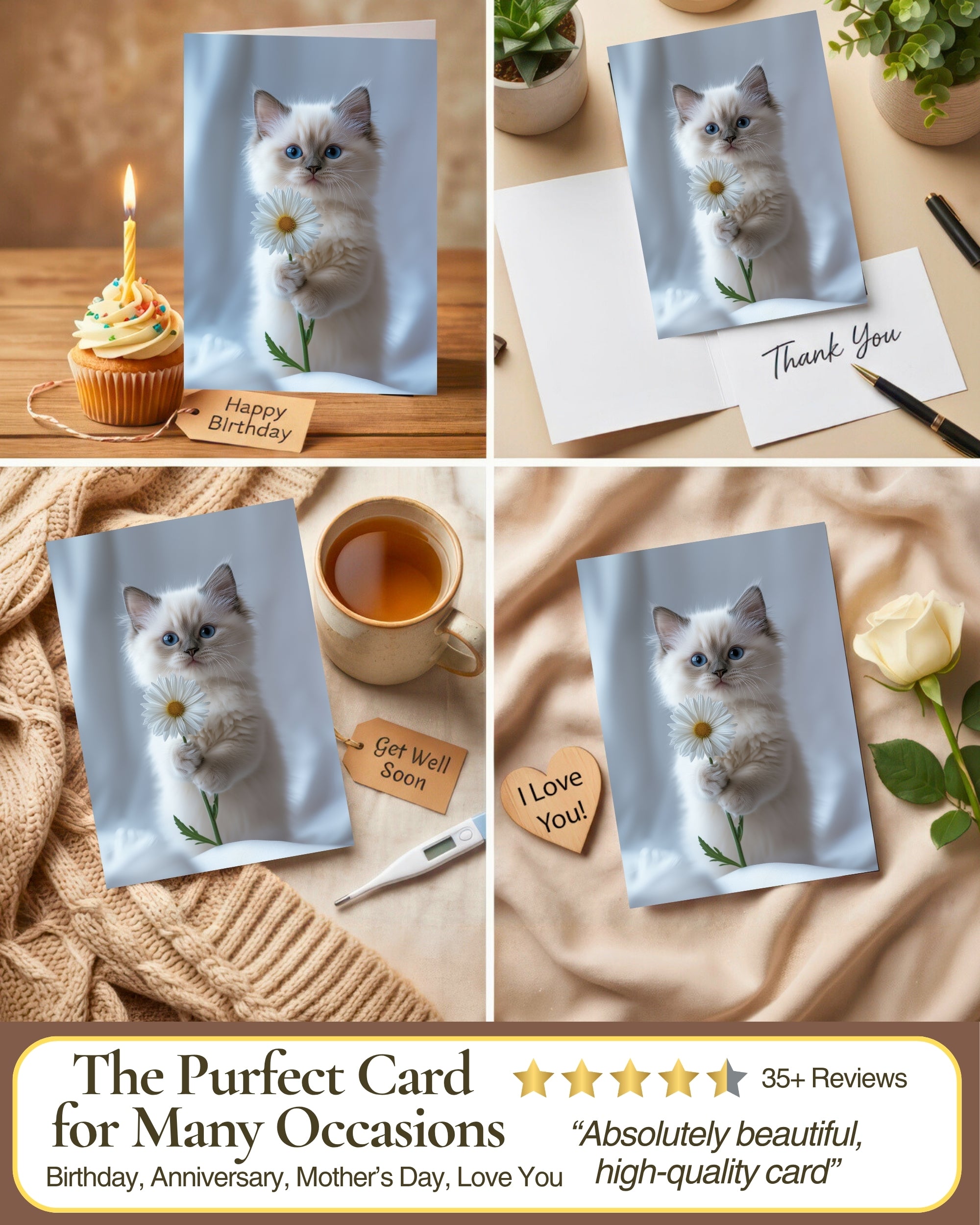 Ragdoll Kitten with Daisy Greeting Card Cute Blue-Eyed Cat Blank Card for Pet Lovers, Premium 5x7 Stationery with Envelope – Made in USA by Pet-Friendly Business