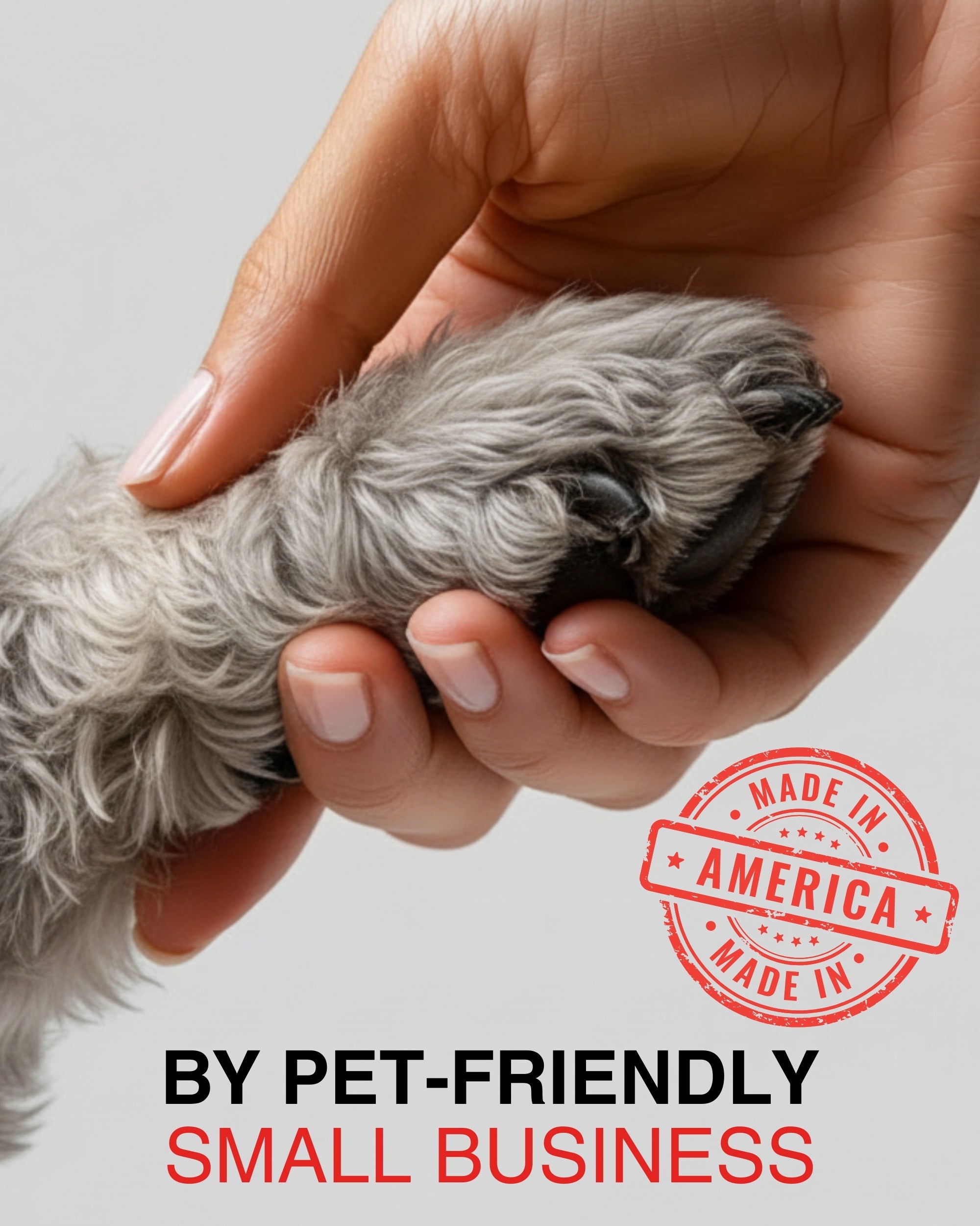 Miniature Schnauzer Valentine’s Day Greeting Card 5x7 – Romantic Dog Card for Anniversary Birthday Sweet Sixteen – Blank Inside, Premium Paper, Celebrate Collection, Made in USA