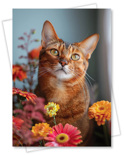 Abyssinian Cat Greeting Card 5x7 Inch, Any Occasion from Cats with Flowers Collection Premium Cardstock Blank Inside White Envelope Included Great Gift for Cat Lovers